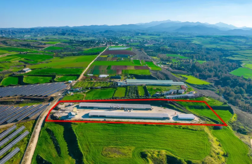 Сельхоз земля - 18196, photo 3