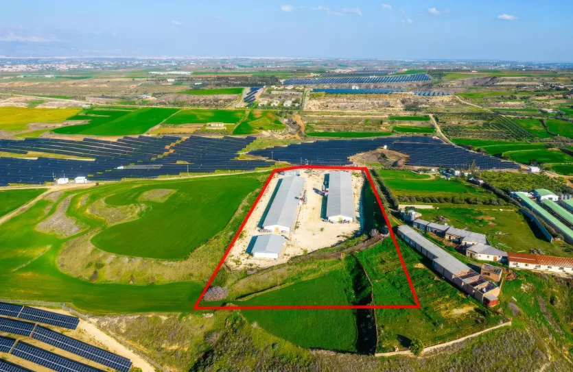 Сельхоз земля - 18196, photo 4