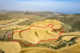 Agricultural land in Choirokoitia, Larnaca - 18206