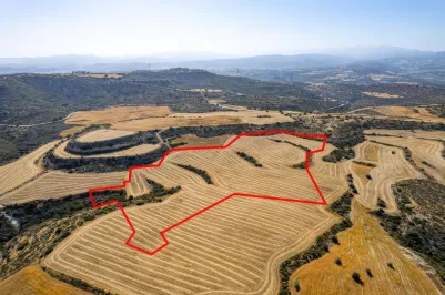 Agricultural land - 18206, photo 2