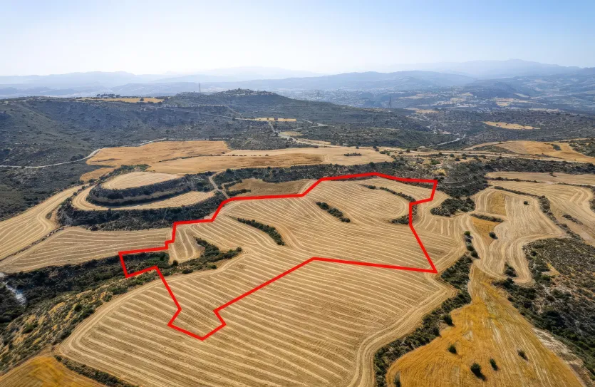 Agricultural land - 18206, photo 3