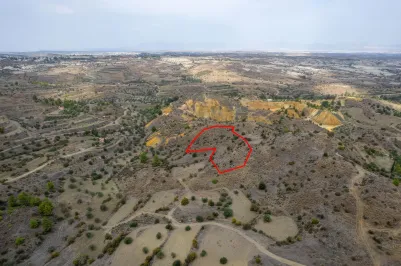 Agricultural land - 18205, photo 2