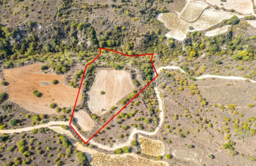 Сельхоз земля продажа - 18195