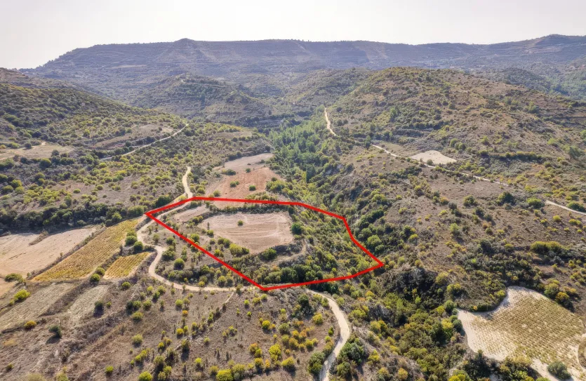 Сельхоз земля - 18195, photo 4