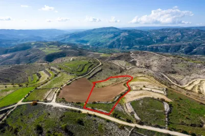 Сельхоз земля - 18204, photo 1