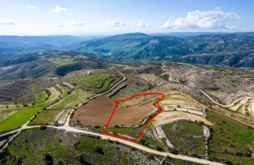 Сельхоз земля - 18204, photo 2