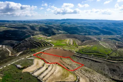 Сельхоз земля - 18204, photo 2