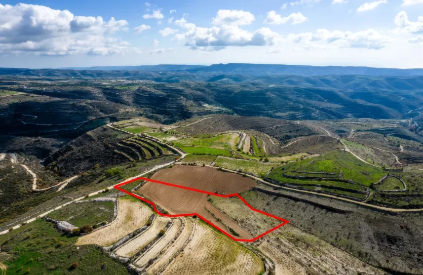 Сельхоз земля - 18204, photo 3