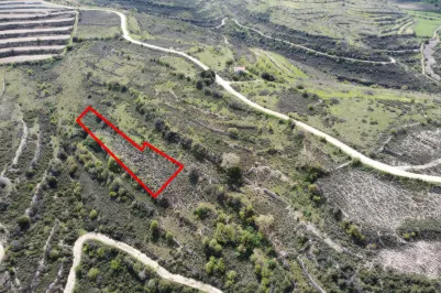 Сельхоз земля - 18208, photo 1