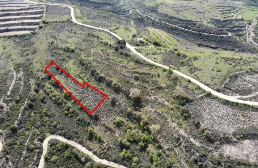 Сельхоз земля - 18208, photo 2