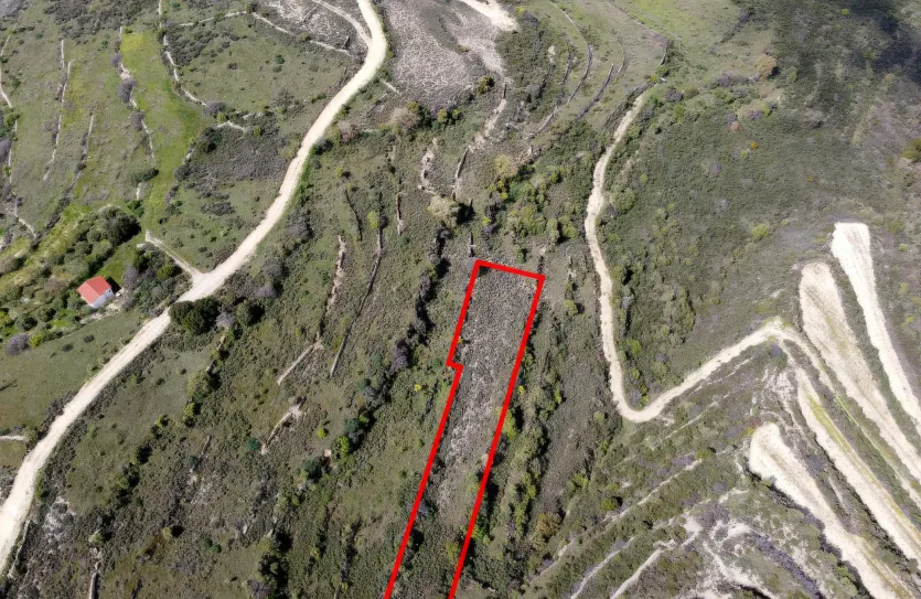 Сельхоз земля - 18208, photo 3