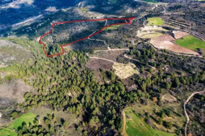 Сельхоз земля - 18202, photo 1