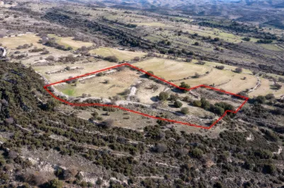 Сельхоз земля - 18210, photo 1