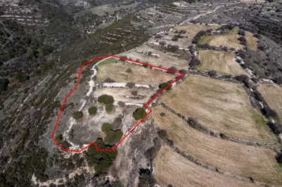 Сельхоз земля - 18210, photo 2