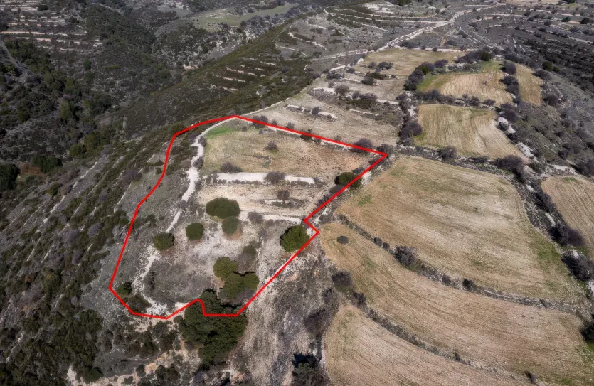 Сельхоз земля - 18210, photo 3