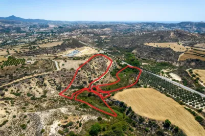 Сельхоз земля - 18207, photo 2