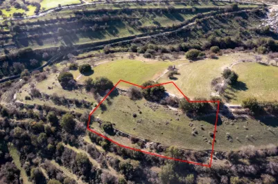 Сельхоз земля - 18203, photo 1