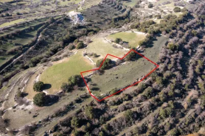 Сельхоз земля - 18203, photo 2