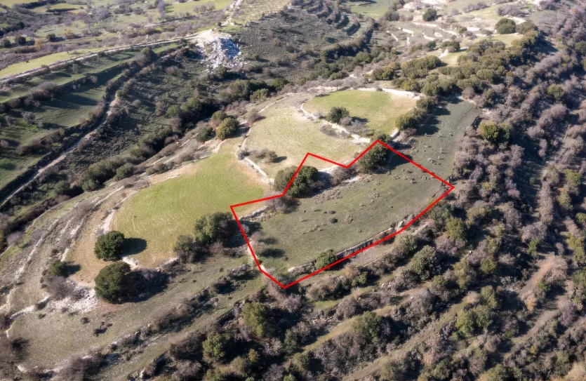 Сельхоз земля - 18203, photo 3