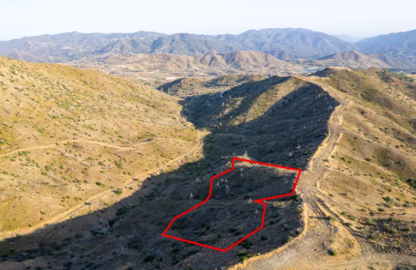 Сельхоз земля - 18201, photo 2