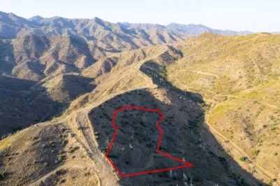 Сельхоз земля - 18201, photo 2