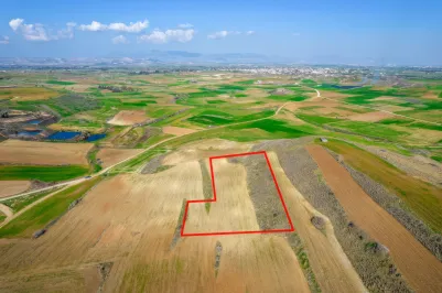 Agricultural land - 18209, photo 1