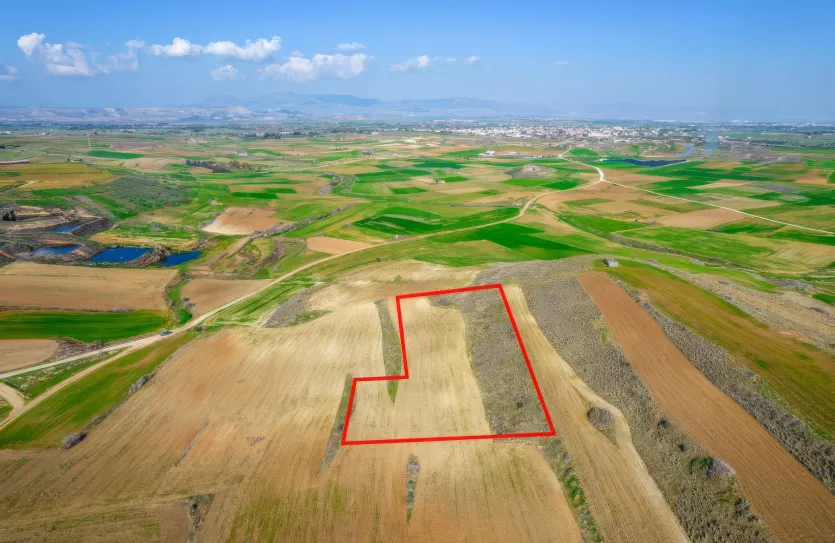 Agricultural land - 18209, photo 2