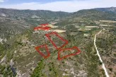 Agricultural land in Dora, Limassol - 18218