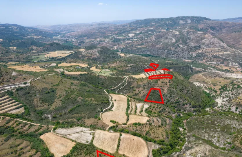 Сельхоз земля - 18218, photo 3