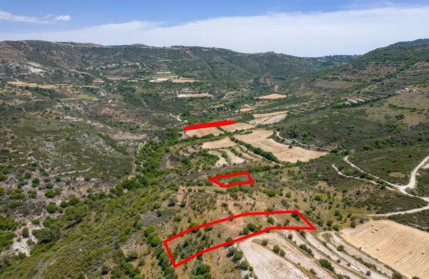 Сельхоз земля - 18218, photo 4