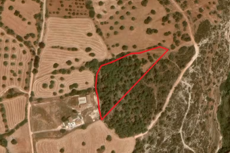 Agricultural land in Neo Chorio, Paphos