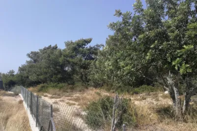 Сельхоз земля - 18215, photo 1