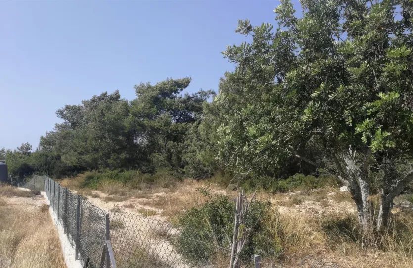 Сельхоз земля - 18215, photo 2