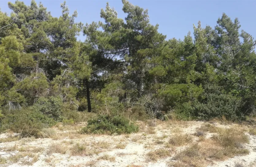 Сельхоз земля - 18215, photo 3