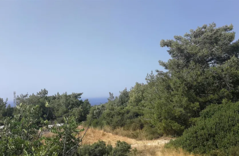 Сельхоз земля - 18215, photo 4