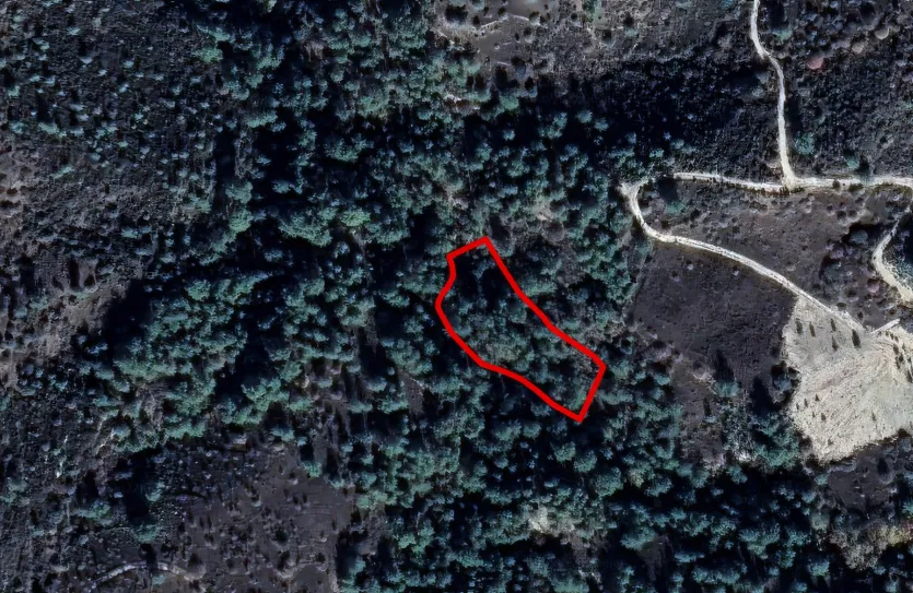 Сельхоз земля продажа - 18217