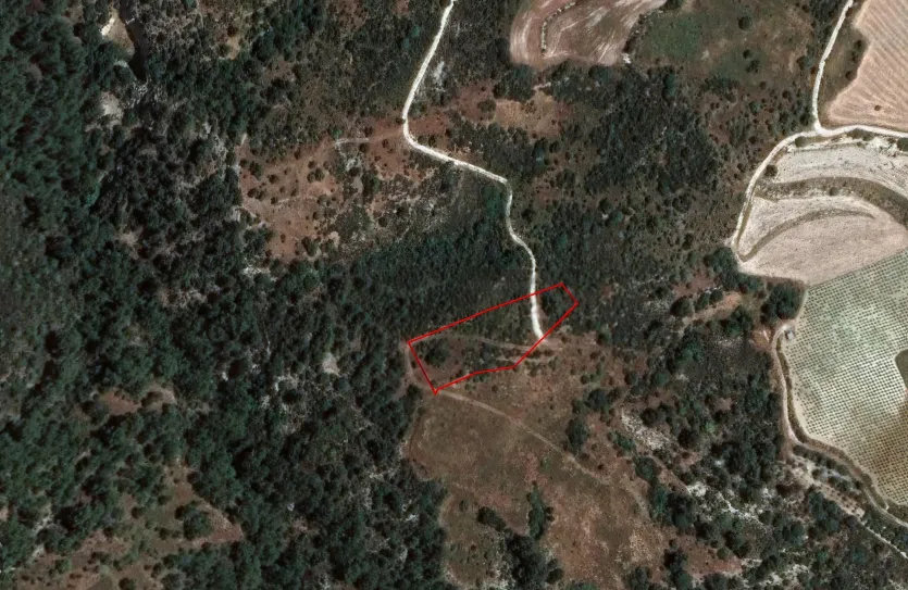 Сельхоз земля продажа - 18219