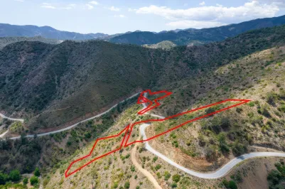 Сельхоз земля - 18226, photo 1