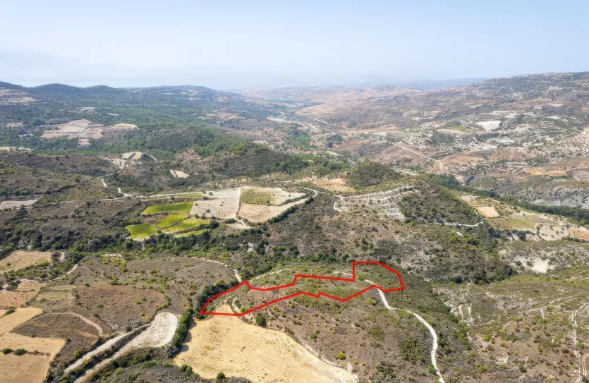 Сельхоз земля - 18225, photo 2