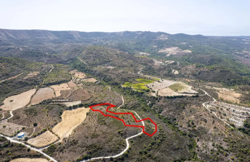 Сельхоз земля - 18225, photo 3