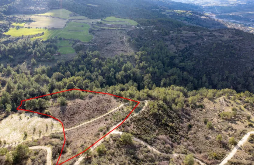 Сельхоз земля продажа - 18227