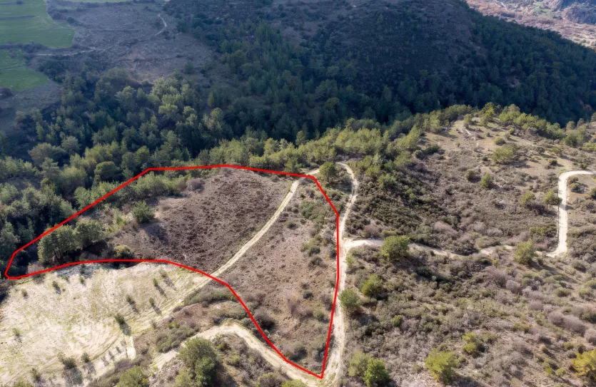 Сельхоз земля - 18227, photo 2