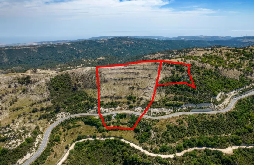 Сельхоз земля - 18223, photo 2