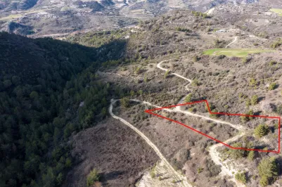 Сельхоз земля - 18229, photo 1