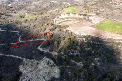 Сельхоз земля - 18229, photo 2