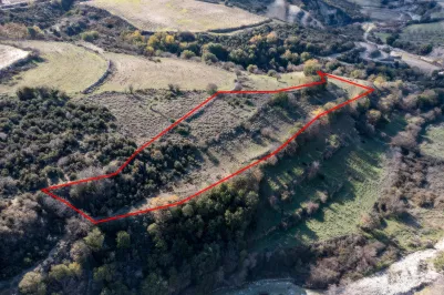 Сельхоз земля - 18232, photo 1