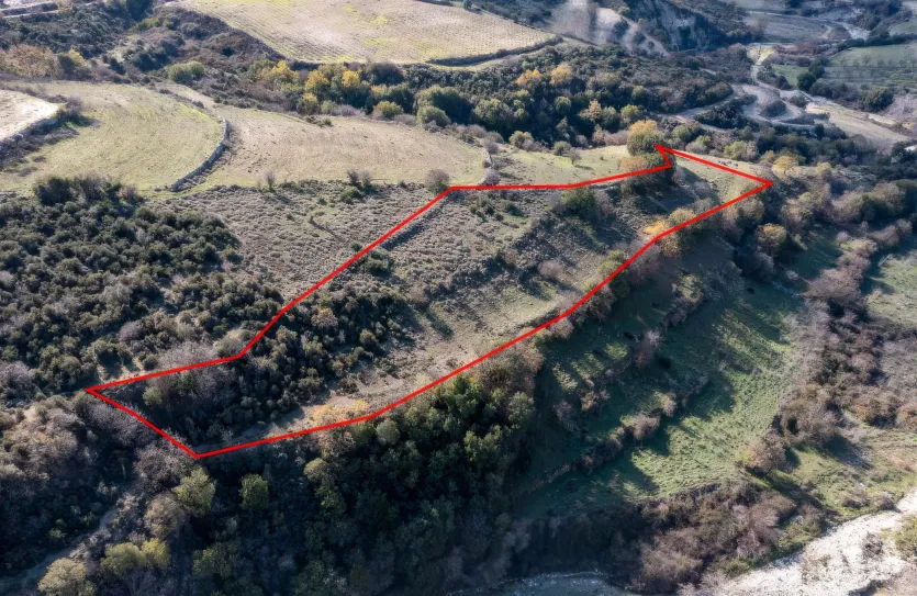 Сельхоз земля - 18232, photo 2