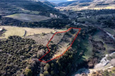 Сельхоз земля - 18232, photo 2