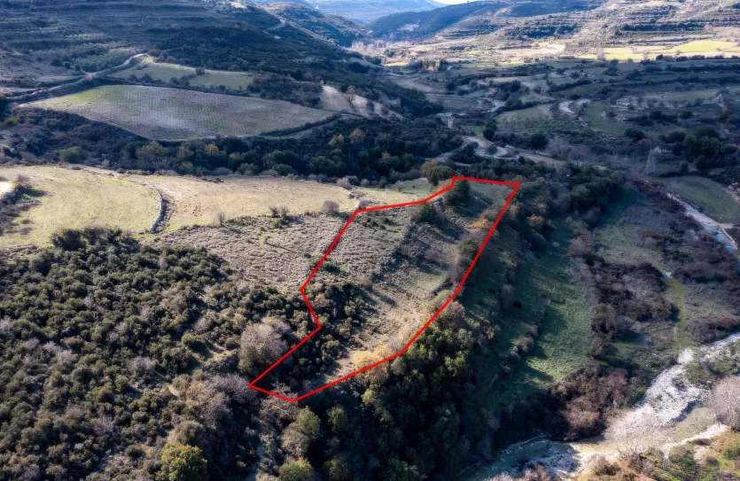 Сельхоз земля - 18232, photo 3