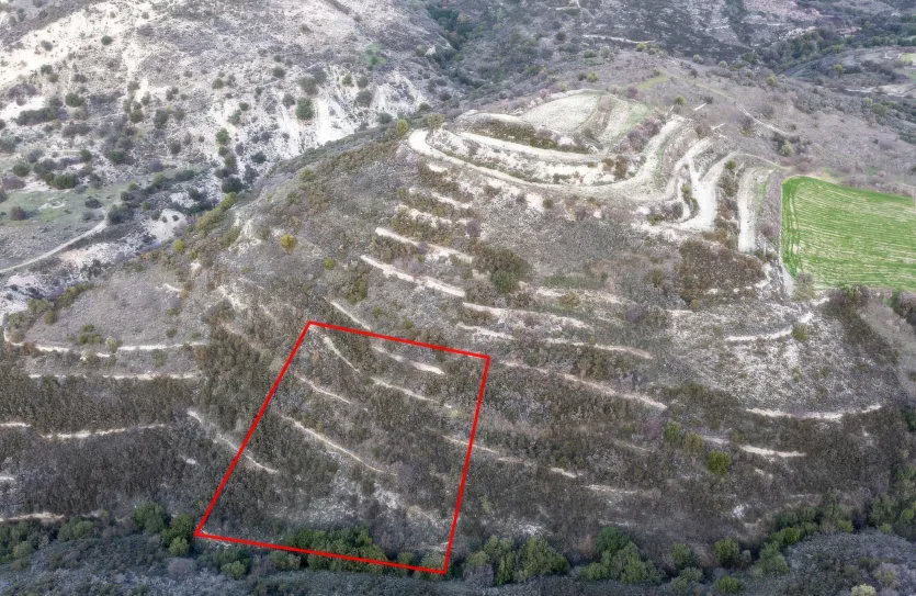 Сельхоз земля продажа - 18224